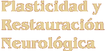 Plasticidad y Restauraci�n Neurol�gica